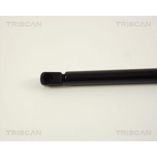 TRISCAN Gasfeder, Koffer-/Laderaum 8710 29248