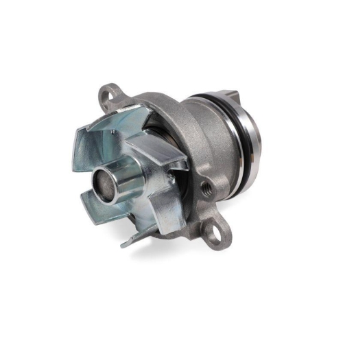HEPU Wasserpumpe, Motork&uuml;hlung P1207