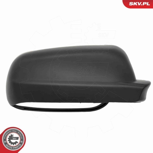 ESEN SKV Abdeckung, Außenspiegel