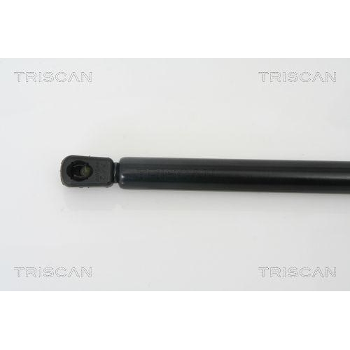 TRISCAN Gasfeder, Koffer-/Laderaum 8710 29260