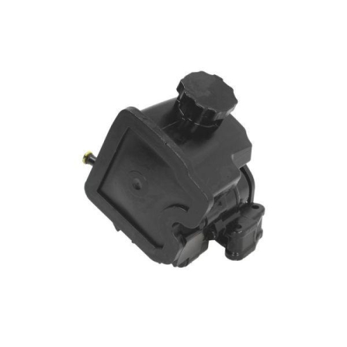 LAUBER Hydraulikpumpe, Lenkung 55.2913