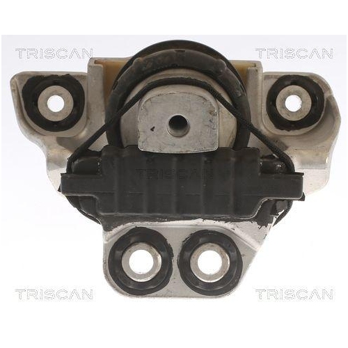 TRISCAN Lagerung, Motor 8505 27105