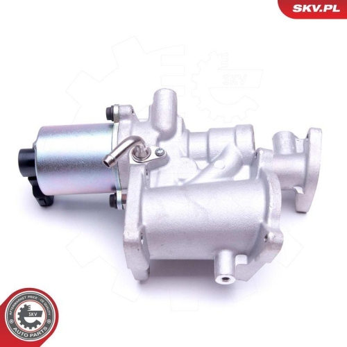 ESEN SKV AGR-Ventil 14SKV166