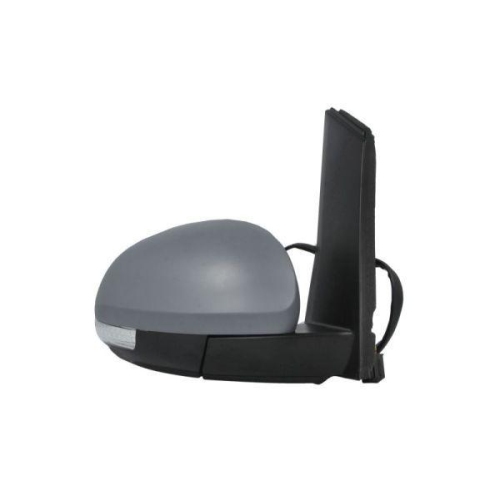 BLIC Außenspiegel 5402-10-2002264P