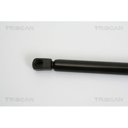 TRISCAN Gasfeder, Koffer-/Laderaum 8710 38222