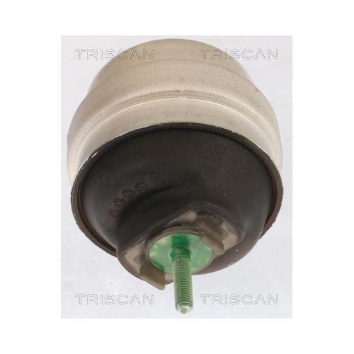 TRISCAN Lagerung, Motor 8505 29105