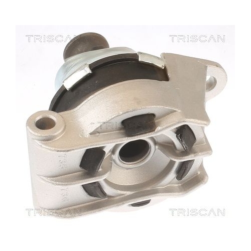 TRISCAN Lagerung, Motor 8505 24110