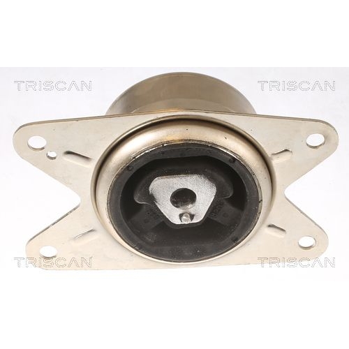 TRISCAN Lagerung, Motor 8505 24111