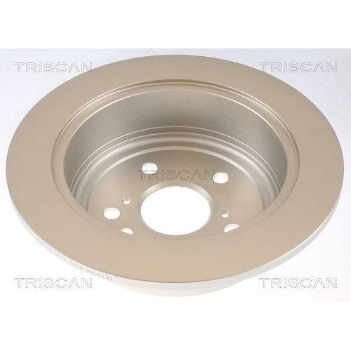TRISCAN Bremsscheibe 8120 131013C
