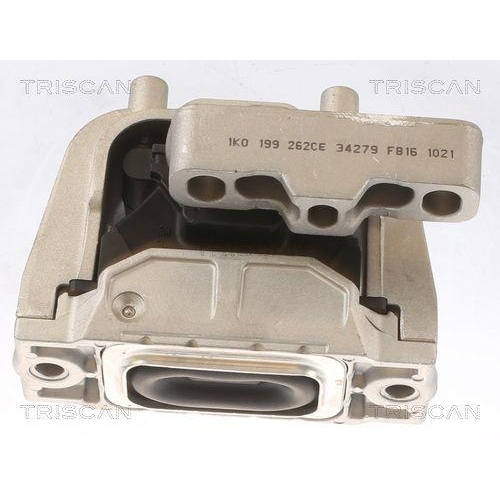 TRISCAN Lagerung, Motor 8505 29145