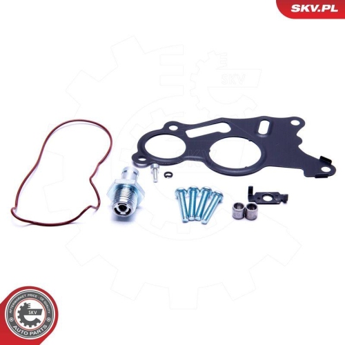 ESEN SKV Reparatursatz, Unterdruckpumpe (Bremsanlage) 18SKV803