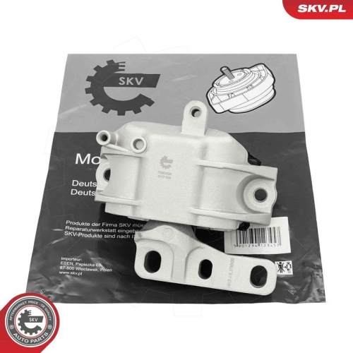 ESEN SKV Lagerung, Motor 75SKV324