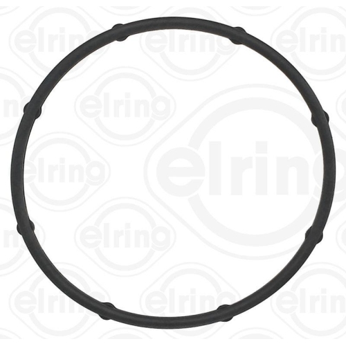 ELRING Dichtring, Wasserpumpe 387.280
