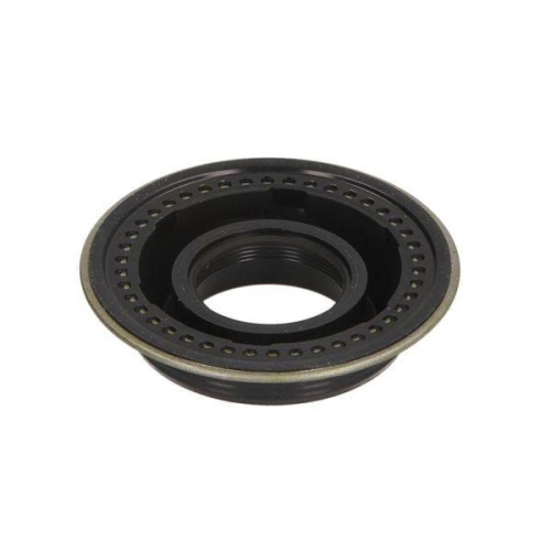 ENGITECH Dichtring, Einspritzventil ENT250524