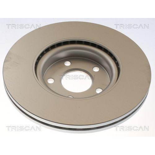 TRISCAN Bremsscheibe 8120 16169C