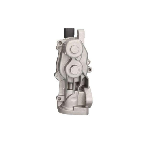 ENGITECH AGR-Ventil ENT500162