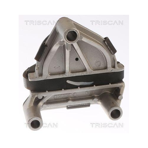 TRISCAN Lagerung, Motor 8505 65100