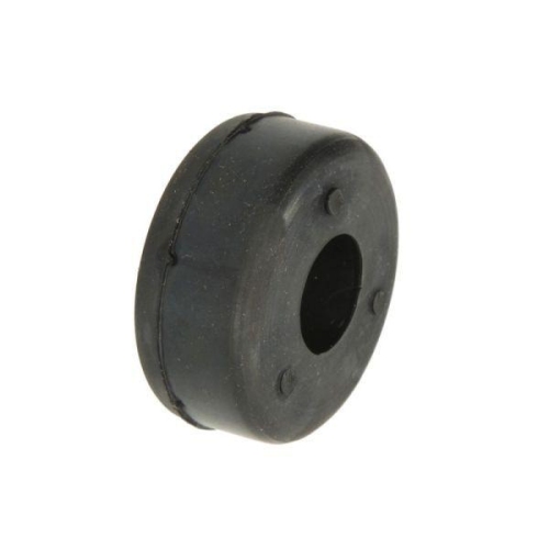 Magnum Technology Stützring, Federbeinstützlager A6W001MT