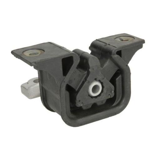 REINHOCH Lagerung, Motor RH11-5036