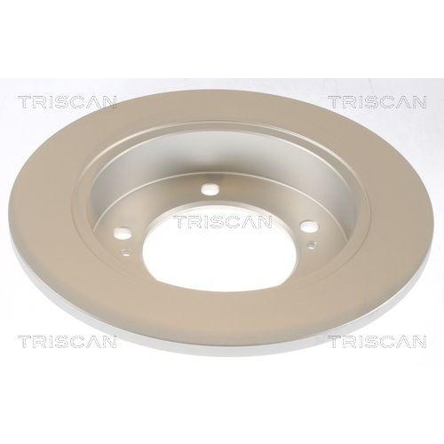 TRISCAN Bremsscheibe 8120 69106C