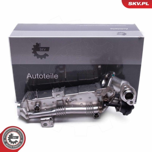 ESEN SKV AGR-Ventil 14SKV239