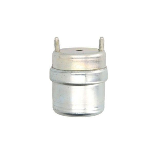 REINHOCH Lagerung, Motor RH11-0129