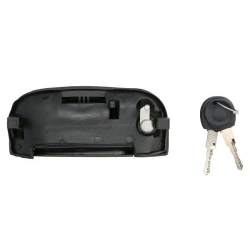 BLIC Türaußengriff 6010-01-013417P