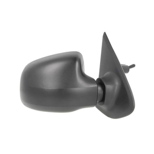 BLIC Au&szlig;enspiegel 5402-67-2001140P