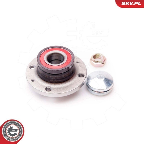 ESEN SKV Radlagersatz 29SKV038