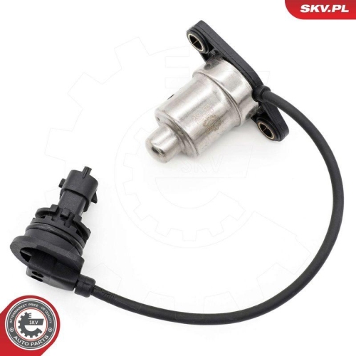 ESEN SKV Sensor, Motor&ouml;lstand 17SKV931