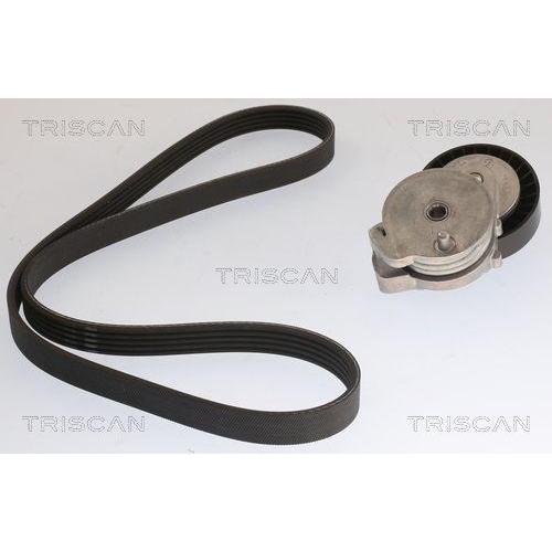 TRISCAN Keilrippenriemensatz 8642 10065