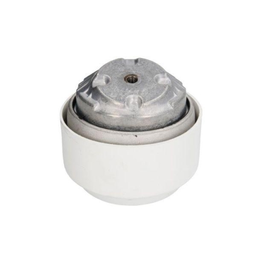 REINHOCH Lagerung, Motor RH11-3015