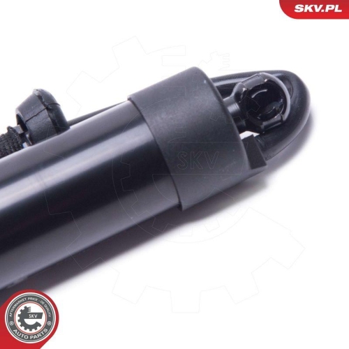 ESEN SKV Elektromotor, Heckklappe 52SKV960