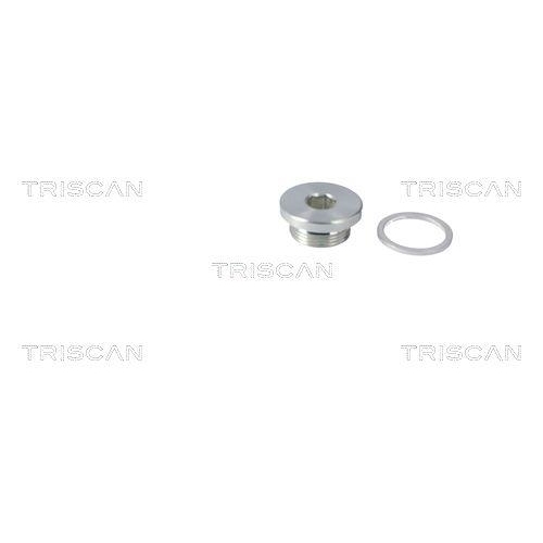 TRISCAN Verschlussschraube, &Ouml;lwanne 9500 2904