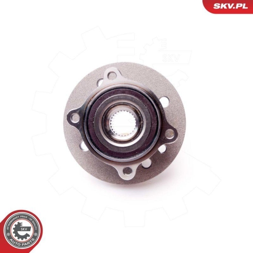 ESEN SKV Radlagersatz 29SKV045