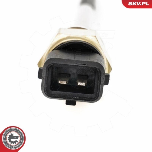 ESEN SKV Sensor, Motor&ouml;lstand 17SKV934