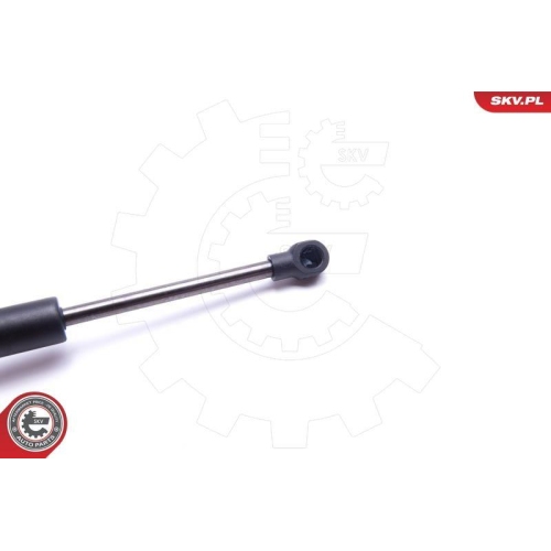 ESEN SKV Gasfeder, Koffer-/Laderaum