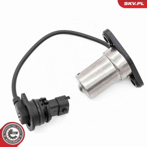 ESEN SKV Sensor, Motor&ouml;lstand