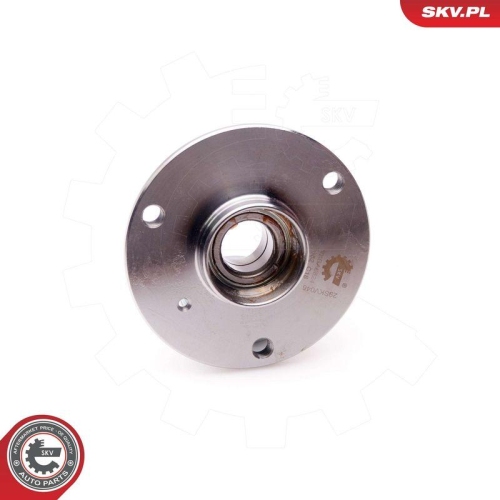ESEN SKV Radlagersatz 29SKV046