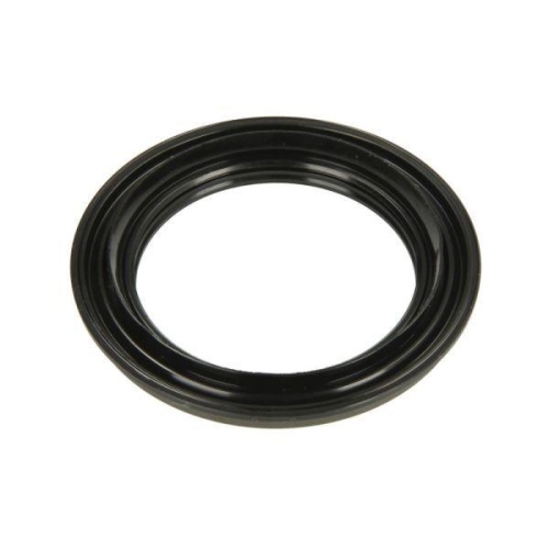 BTA Wellendichtring, Radnabe 47010163BTA