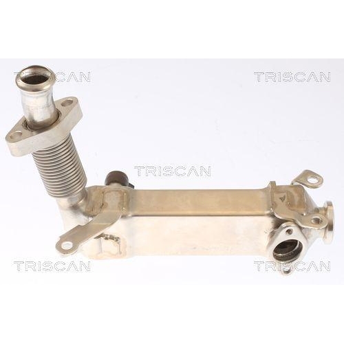 TRISCAN K&uuml;hler, Abgasr&uuml;ckf&uuml;hrung 8813 11019