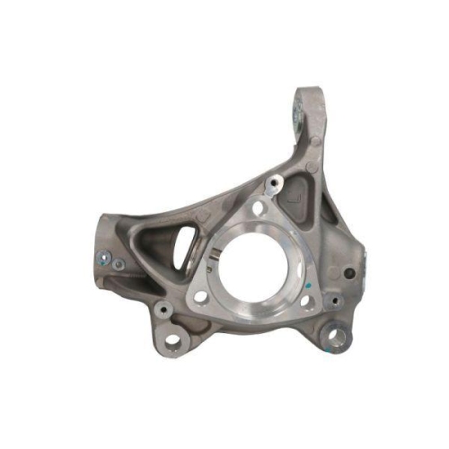 REINHOCH Achsschenkel, Radaufhängung RH08-0063