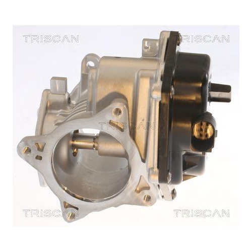 TRISCAN AGR-Ventil 8813 29348