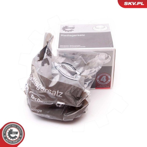 ESEN SKV Radlagersatz 29SKV050