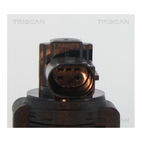 TRISCAN AGR-Ventil 8813 15063