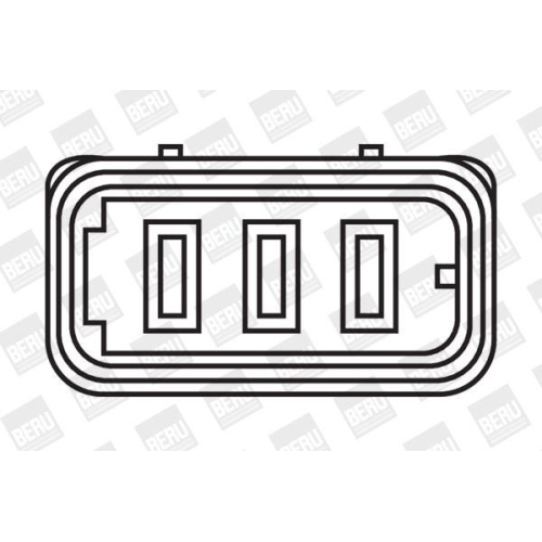 BorgWarner (BERU) Z&uuml;ndspule ZS014