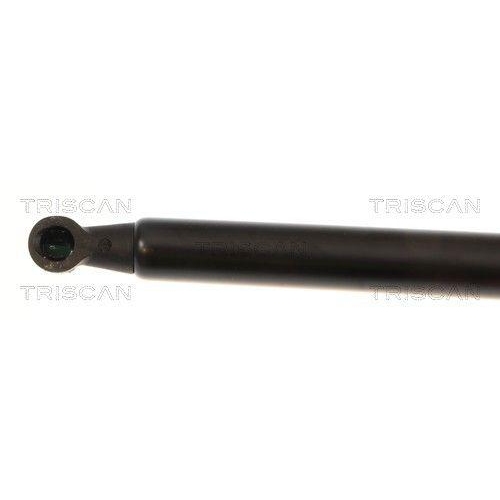 TRISCAN Gasfeder, Koffer-/Laderaum 8710 25246