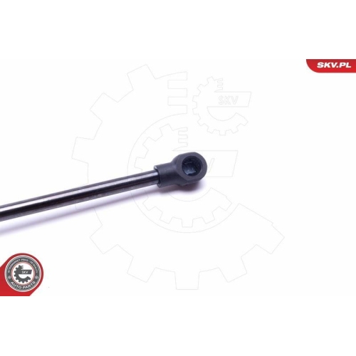 ESEN SKV Gasfeder, Koffer-/Laderaum