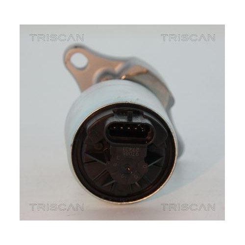 TRISCAN AGR-Ventil 8813 21006