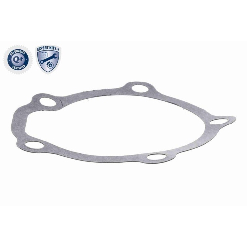 ACKOJA Wasserpumpe, Motork&uuml;hlung EXPERT KITS +